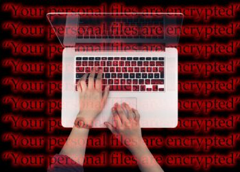 Europe Prepares for Cyber Attacks: The Netherlands Calls for Cash